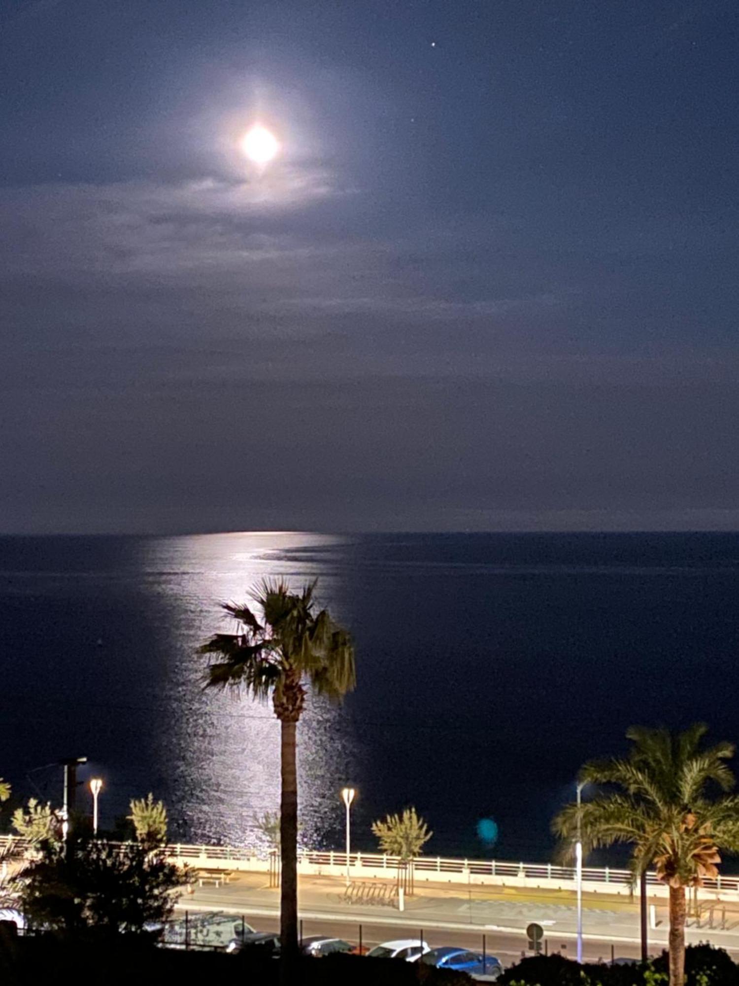 Bord De Mer, Terrasse, Tout A Pieds คานส์ ภายนอก รูปภาพ